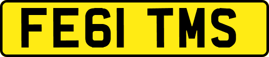 FE61TMS