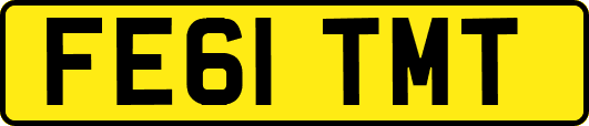 FE61TMT
