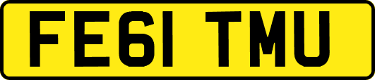 FE61TMU