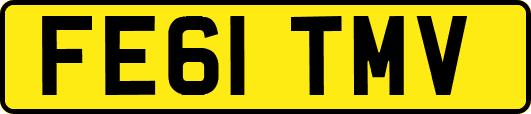FE61TMV