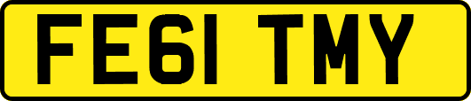 FE61TMY