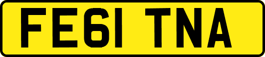 FE61TNA