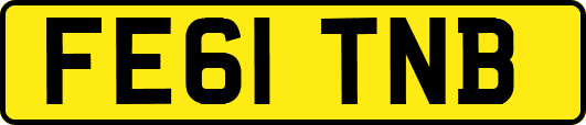 FE61TNB