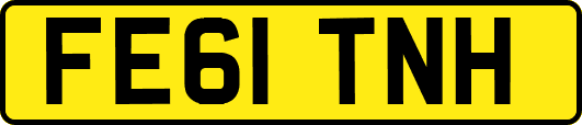 FE61TNH