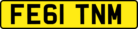 FE61TNM