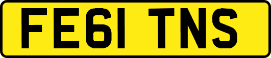 FE61TNS