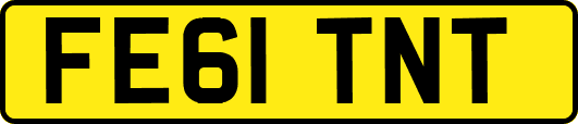 FE61TNT