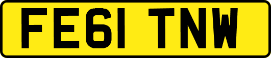 FE61TNW