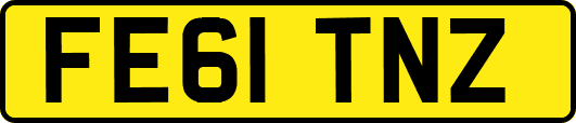 FE61TNZ