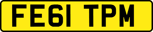 FE61TPM