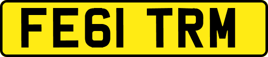 FE61TRM