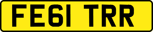 FE61TRR