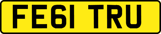 FE61TRU