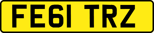 FE61TRZ