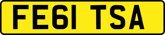FE61TSA