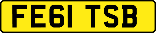 FE61TSB