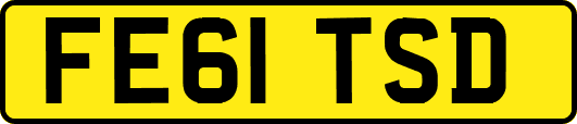 FE61TSD