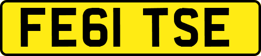 FE61TSE