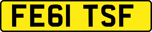 FE61TSF