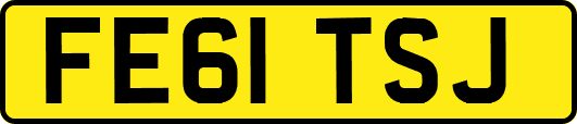FE61TSJ
