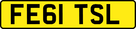 FE61TSL