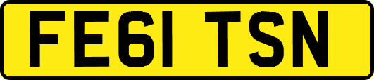 FE61TSN