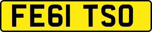 FE61TSO