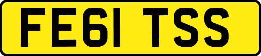 FE61TSS