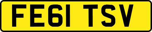 FE61TSV
