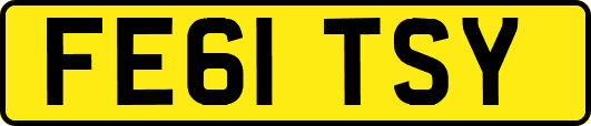 FE61TSY
