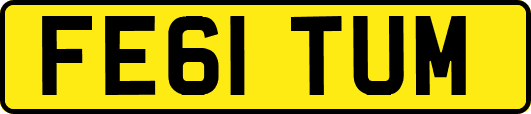 FE61TUM