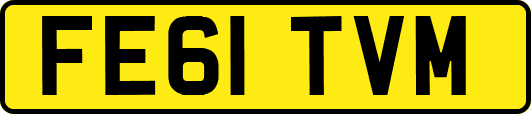FE61TVM