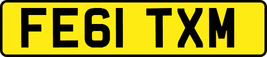 FE61TXM