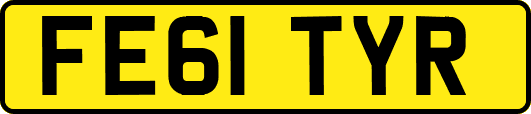 FE61TYR