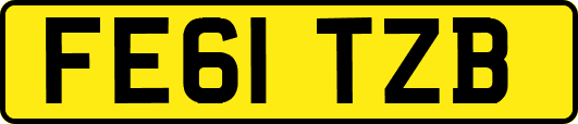 FE61TZB