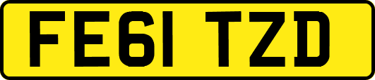 FE61TZD