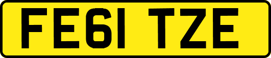 FE61TZE
