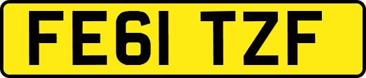 FE61TZF