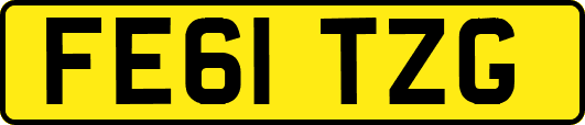 FE61TZG