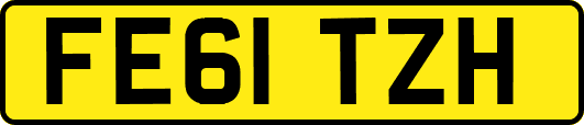 FE61TZH