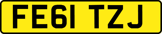 FE61TZJ