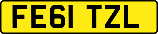 FE61TZL