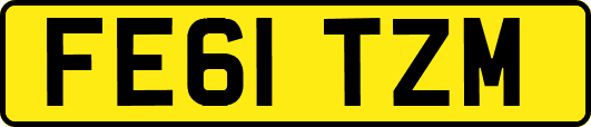 FE61TZM