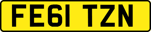 FE61TZN