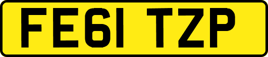 FE61TZP