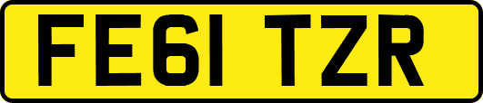 FE61TZR