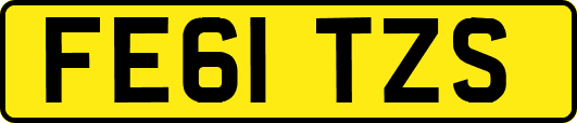 FE61TZS