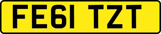 FE61TZT