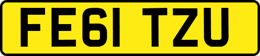 FE61TZU