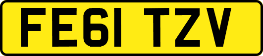 FE61TZV